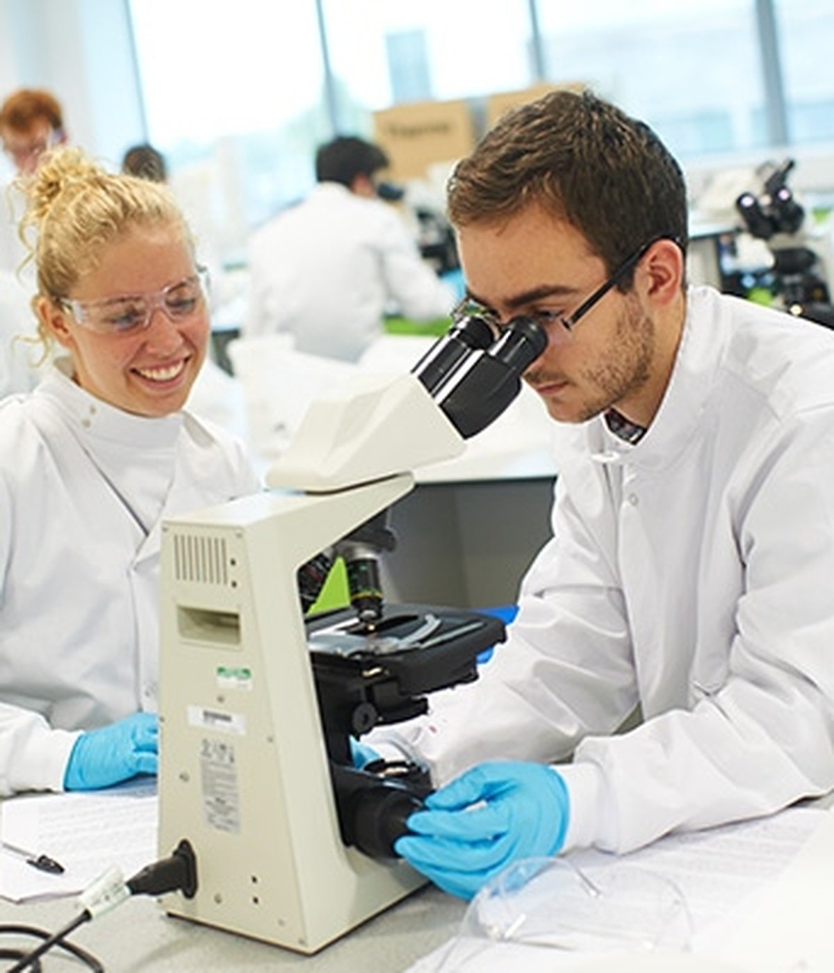University of York 生物技術 Biotechnology BSc 課程
